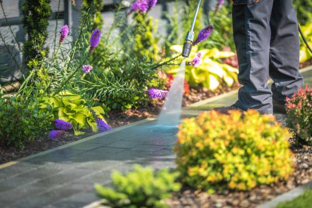 Best Animal Enclosure Cleaning  in York, PA